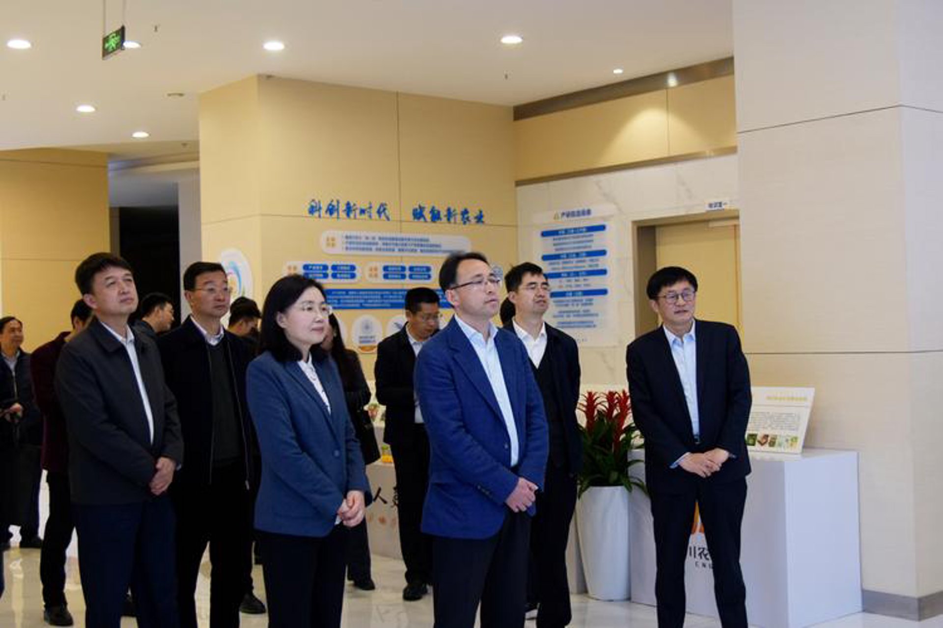 金瑞麟信息科技